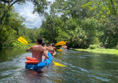 KAYAK IM